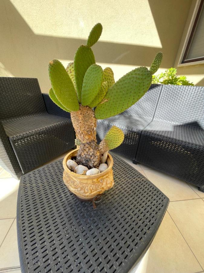 Ancora Del Salento Villa Lecce Luaran gambar
