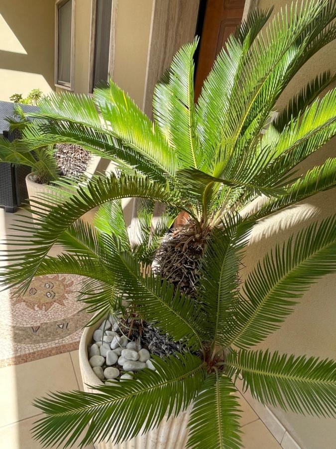 Ancora Del Salento Villa Lecce Luaran gambar
